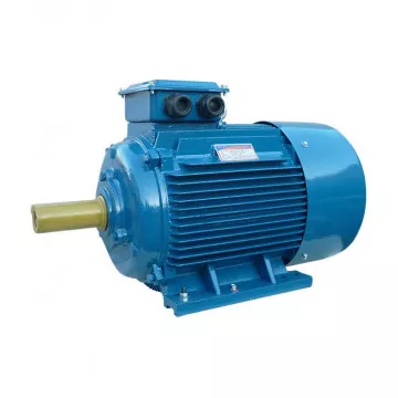 Электродвигатель 5АИ 200 М6
